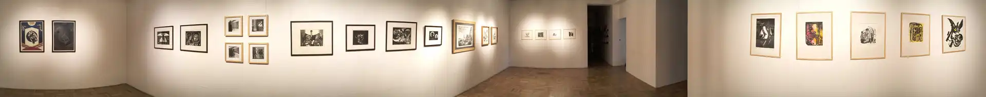 panoramica_expo